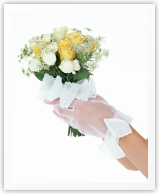 �ץ��ݡ�������2
